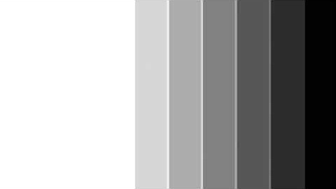 Mask Track Matte Effect New For Edius Users 2020 after effects transitions