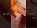 "Boost Your Mood Instantly: 3 Fruits You Need!"