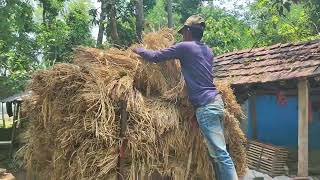 মাঠের ধান বাড়িতে, পাওয়ার টিলার গাড়িতে,