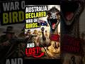 When 20,000 Emus Crushed Australia's Military #shorts #viralshorts #youtubeshorts