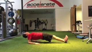 Reverse Plank on Elbows