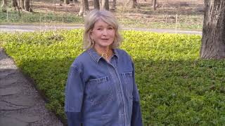 ASK MARTHA: Martha’s Hard-Working Shrubs for Year-Round Curb Appeal by Miracle-Gro 878 views 3 weeks ago 1 minute, 14 seconds