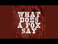 Miniature de la vidéo de la chanson What Does The Fox Say (Extended Mix)