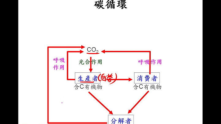 10701高二基础生物ch6 2 07物质循环简介+碳循环二俭 - 天天要闻