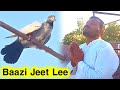 One day baazi bhai sheru ne jeet li   kabooter bazi in pakistan  pigeons club