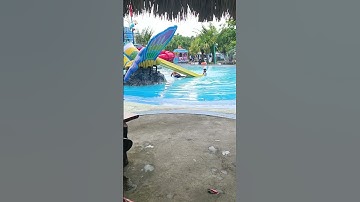 Hari đi bơi ở cổng tỉnh,Đông Triều, Quảng Ninh