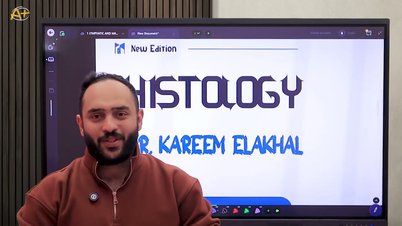  اولي بشري د/كريم الاكحل histology Dr.karim lymph node