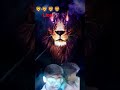  entry lion mathesh