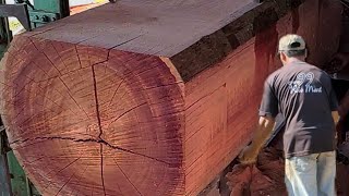 Sawing High Quality Soft Wood || Wood Saw Machine screenshot 1