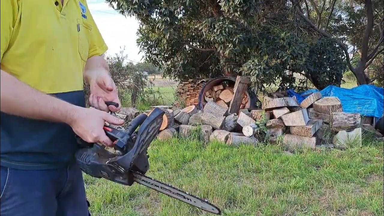 ozito 25.4cc top handle chainsaw 2 years later it needs some work