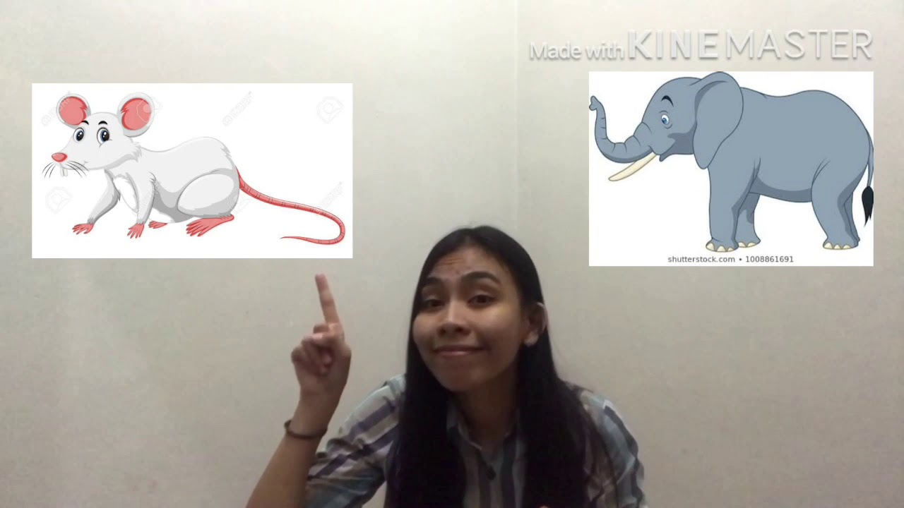 Science (Wednesday, 23 April 2020) - YouTube