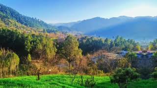 Nature Photography Mobile Photography Photography Status Ak Graphy