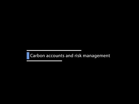 Carbon Accounts and Risk Management - Ilona Millar, Baker & McKenzie