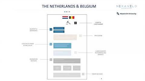 En4s - Comparison of the structure of the Netherlands and Belgian judgments - Pertegas, Sujecki