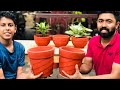 ചെടിച്ചട്ടി ഉണ്ടാക്കാൻ ഇത്ര എളുപ്പമായിരുന്നോ😳How to make cement pot|flower pot|cement DIY|malayalam