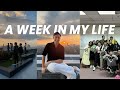 A Week In My Life: Exams, Friends, BGC, Party | Leon Barretto