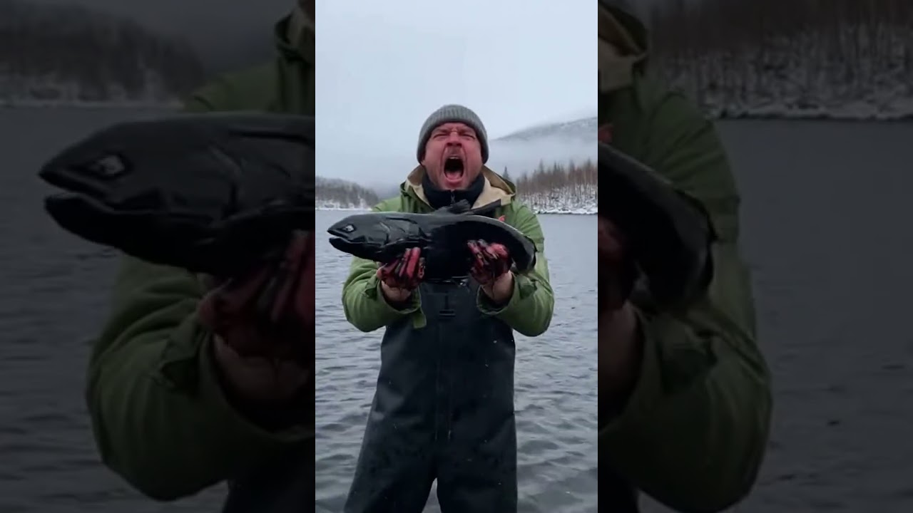 Real Scary Mutant Fish Attack! 🐟⚫ Horror Footage 