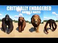 Critically Endangered Animals Races in Planet Zoo included Gorilla, Lion, Orangutan, Pangolin