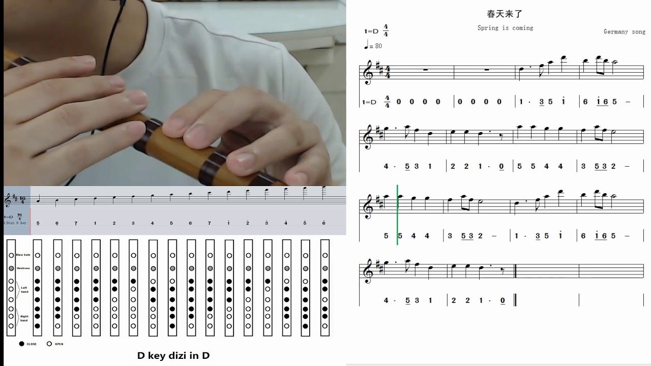 Dizi Finger Chart Key D