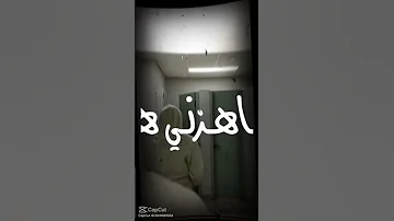كفي بضوي لو بقلبي نار شامي 