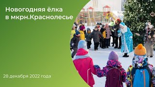 Новый год в Академическом (декабрь 2022)