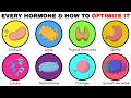 Every Hormone &amp; How To Optimize Them Explained
