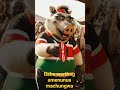 Baba Warthog Ananunua Machungwa Sokoni Baba Warthog Ananunua Machungwa Sokoni