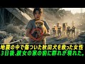 地震の中で傷ついた秋田犬を救った女性――3日後、彼女の家の前に群れが現れた。