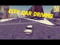 City Car Driving