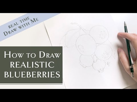 How to Shade Flowers with a Pencil — Katrina Crouch | Blushed Design