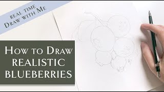 How to Draw Realistic Blueberry Tutorial