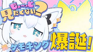 【お披露目】人間!みよ!これがケモノ界のキングなのだ!【白上フブキ/ホロライブ】