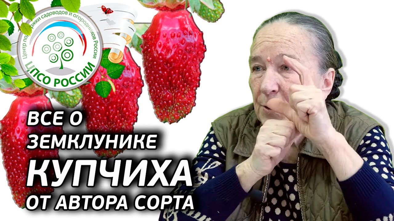 Земклуника Описание Сорта Фото Отзывы Садоводов