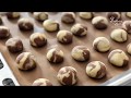 Chocolate Marble Cookies 巧克力云石曲奇