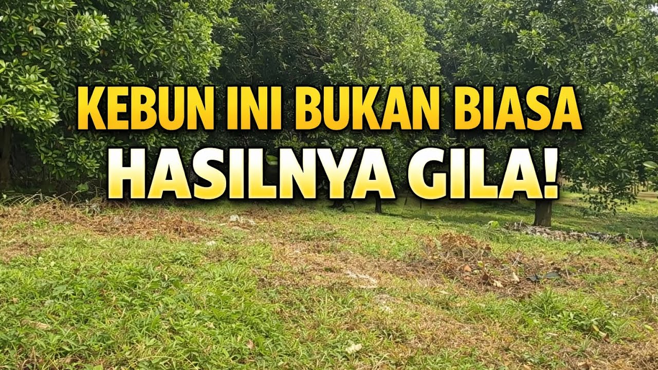 DIJUAL LAHAN PRODUKTIF 1,2 HEKTARE SHM – JONGGOL BOGOR