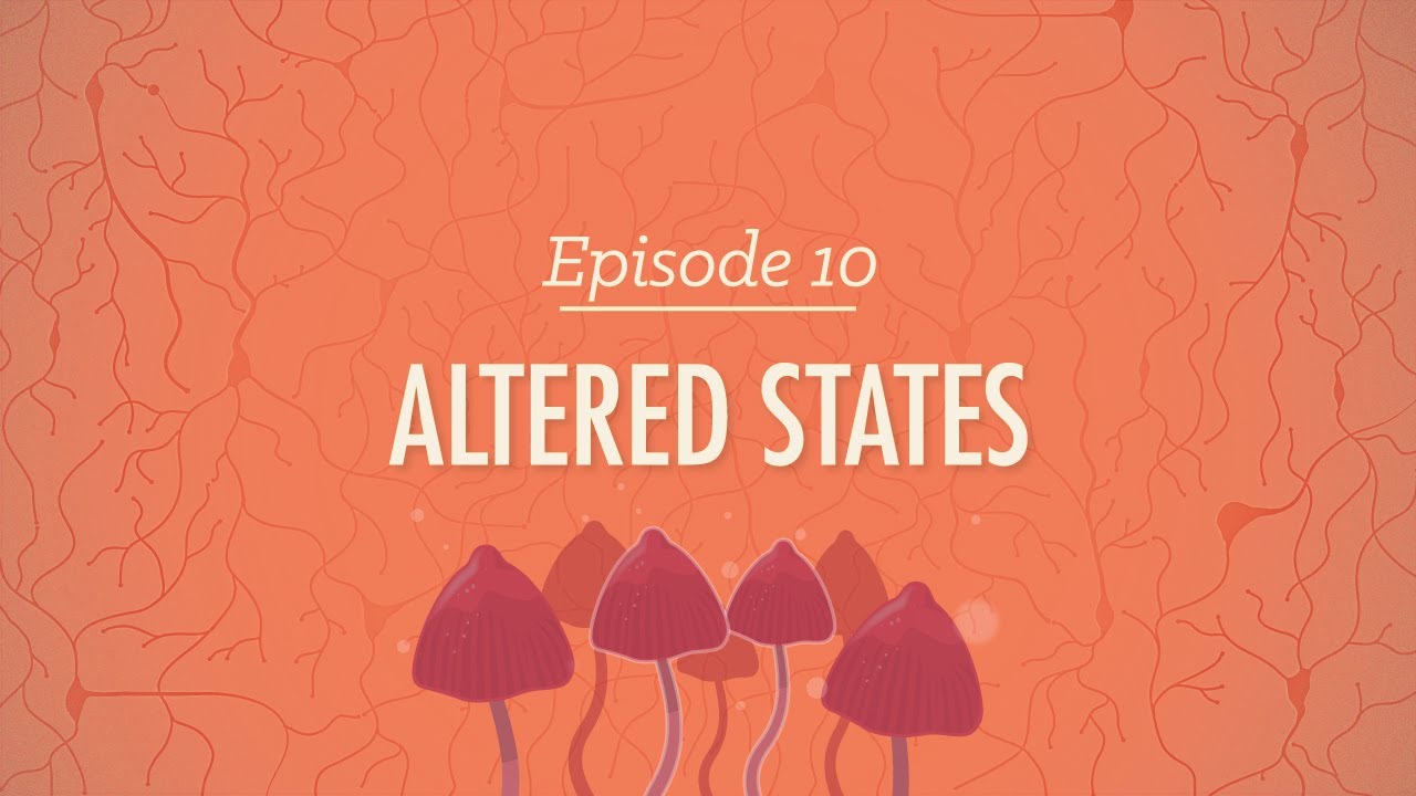 ⁣Altered States: Crash Course Psychology #10