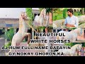 Full name white horses international aj hum name batayin gy nokry ghoron ka qutbia club 2023