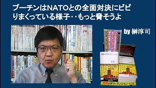 プーチンはＮＡＴＯとの全面対決にビビりまくっている様子‥もっと脅そうよ　by榊淳司
