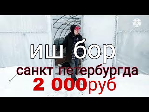 Video: Do'stlik Bog'i Sankt-Peterburgda Qanday Ko'rinishga Ega Va U Qayerda Joylashgan