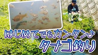 手軽に楽しむタナゴのウキ釣り！【安近短】