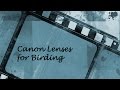 Canon Lenses For Birding