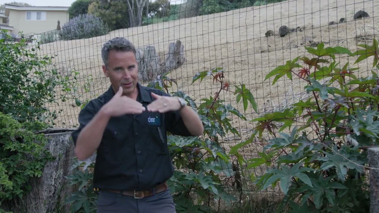 Solving Drainage on a Steep Hillside: Concrete Swale + Garden Wall Strategy
