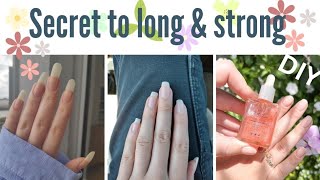 How To Growth Your Nails Diy Nails Growth Oil Kousar