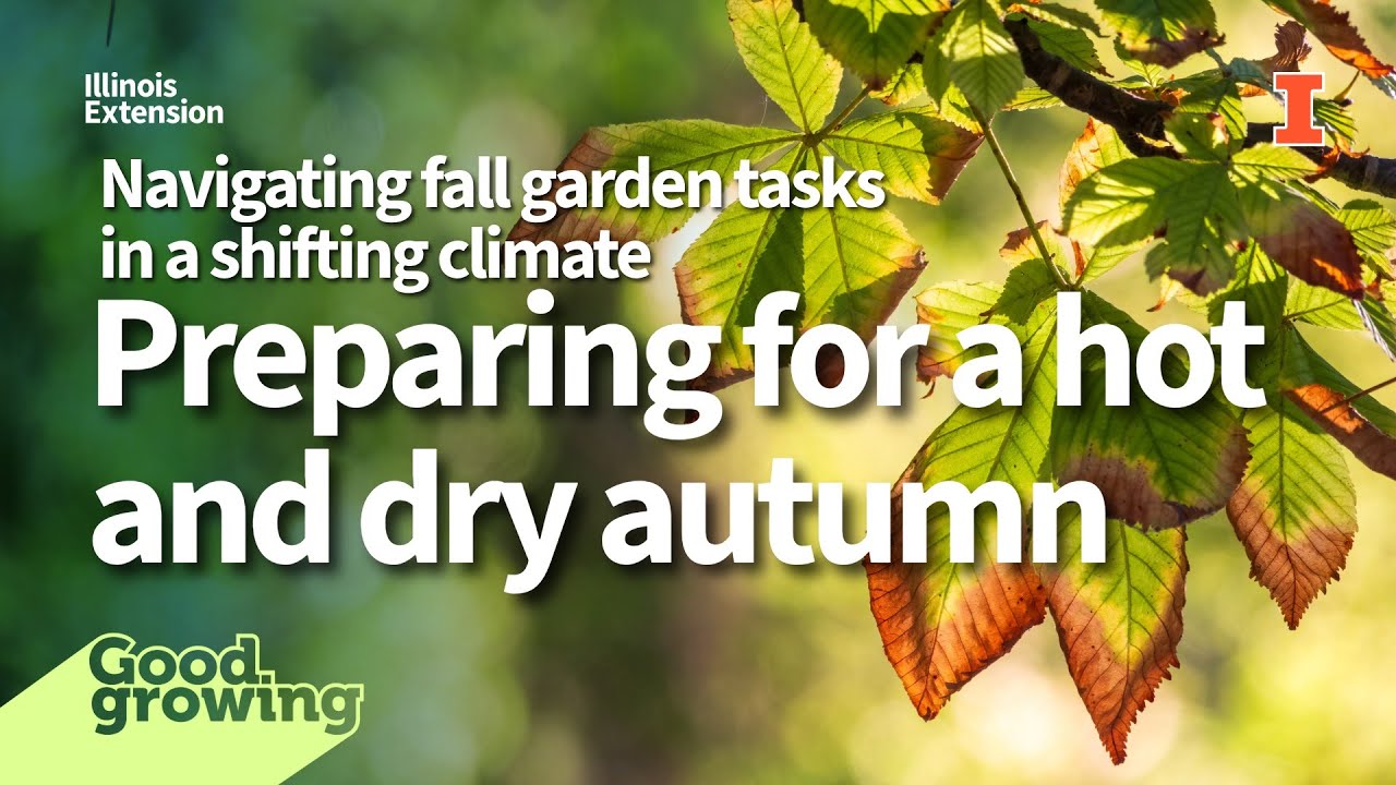 Preparing for Fall Drought in the Garden and Landscape | #GoodGrowing ...