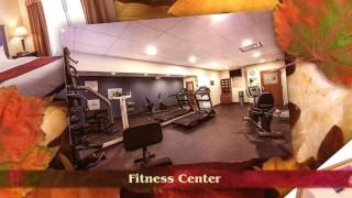 Comfort Suites - Augusta GA