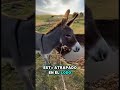 ¡SE ME ERIZÓ LA PIEL! ¡ELLA NO ME DEJABA IR, ALGO TERRIBLE HABÍA PASADO!