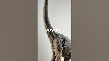 Evolution of Brachiosaurus 🦕