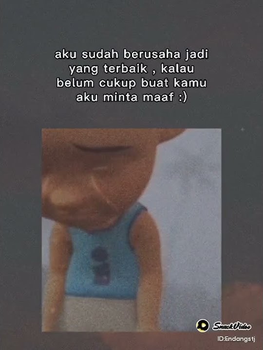 Minta Maaf Story Wa 30 Detik