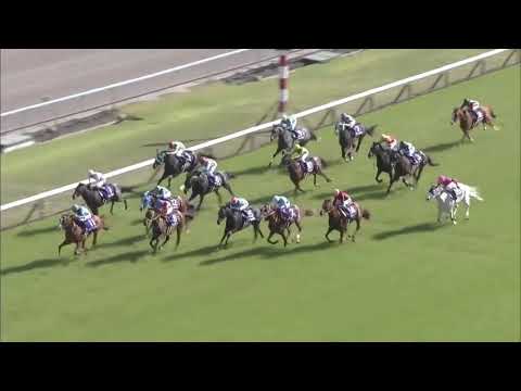 2018 天皇賞(春) (GⅠ) 直線