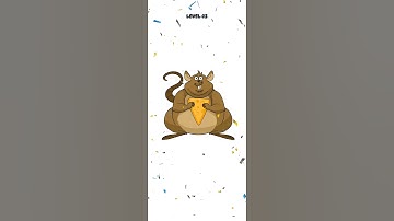 braindom game level 43 amazing game level